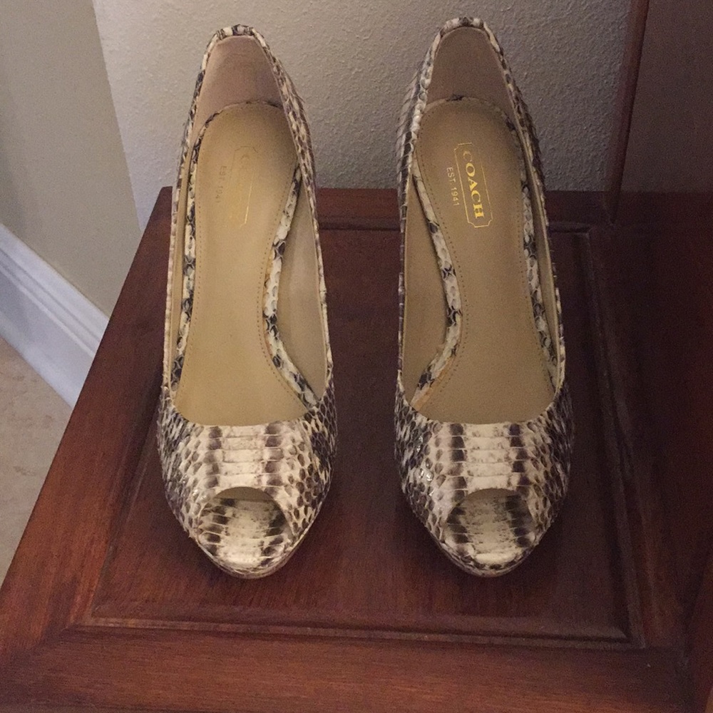 Coach snake skin pumps